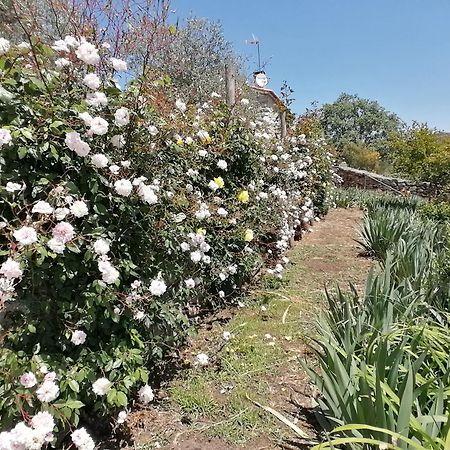 Lirios Da Granja - Casa De Campo Екстер'єр фото