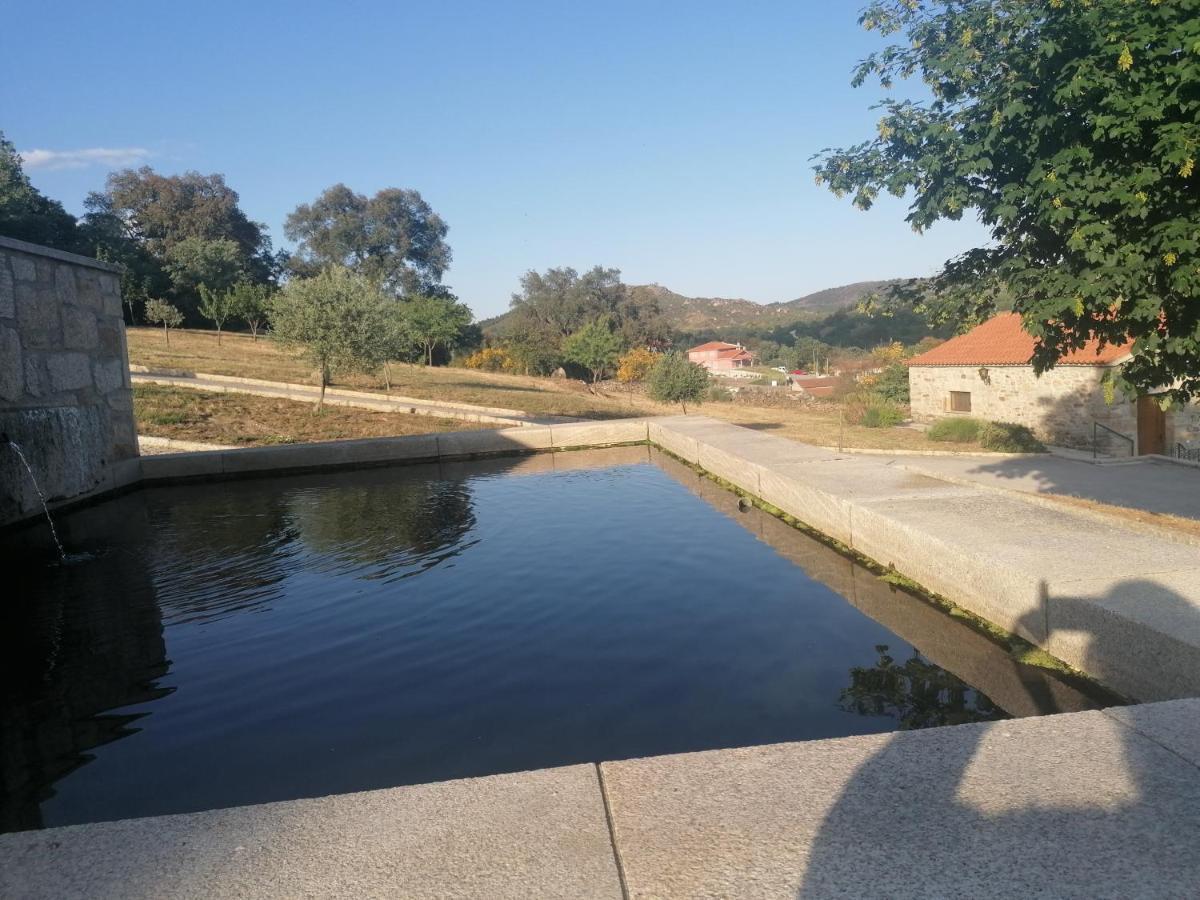 Lirios Da Granja - Casa De Campo Екстер'єр фото