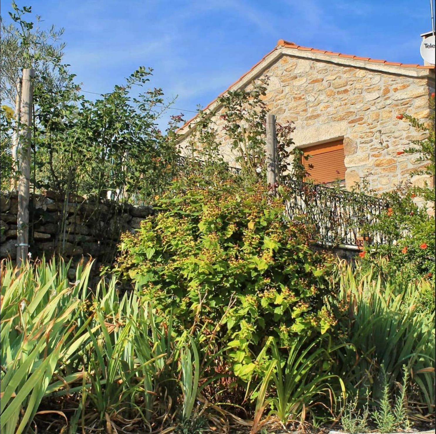 Lirios Da Granja - Casa De Campo Екстер'єр фото